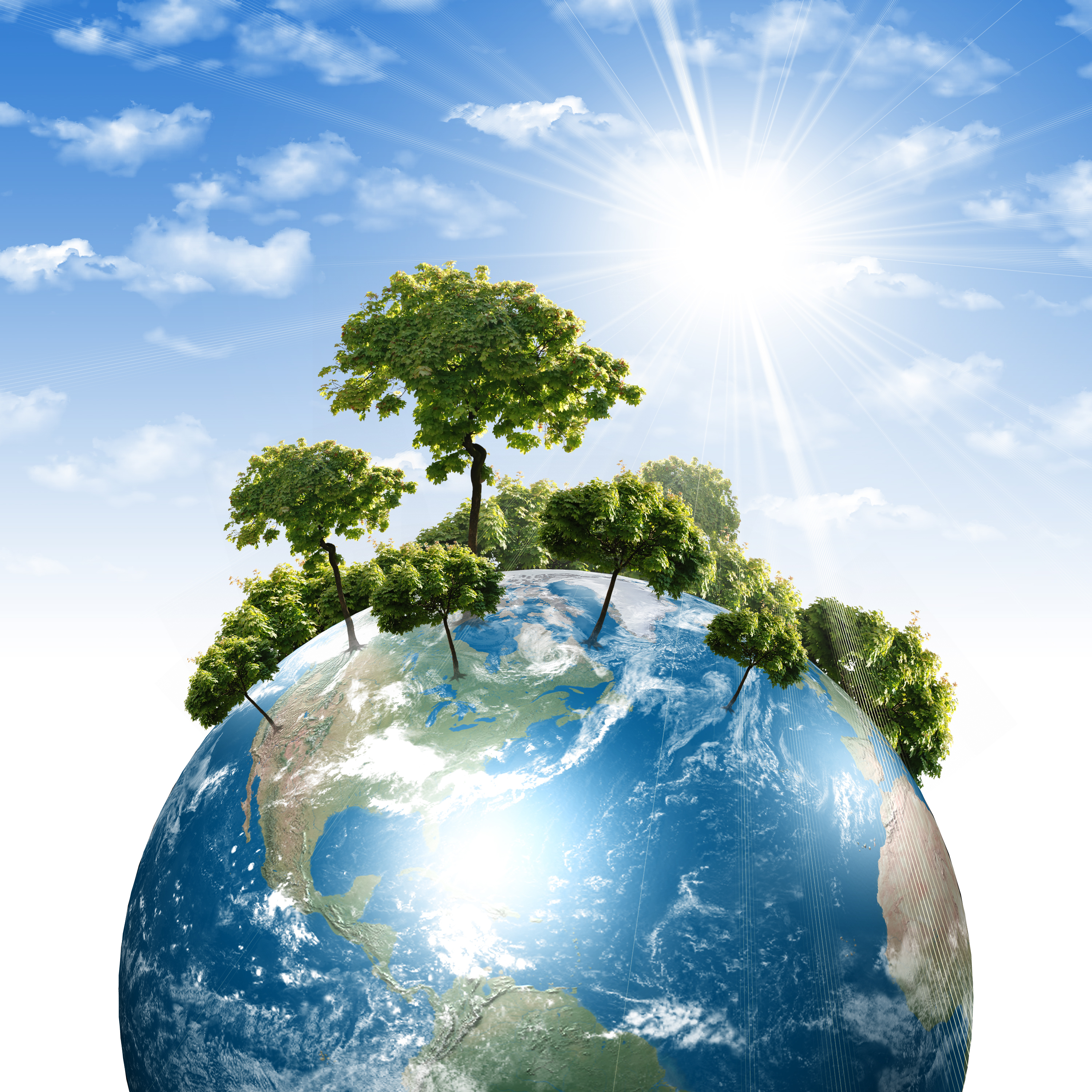 Environmental Science